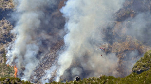 EU sendet Löschflugzeuge gegen Waldbrände auf Madeira