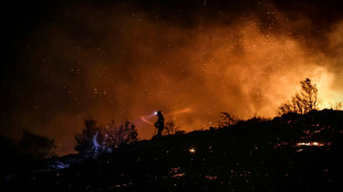 Firefighters gain upper hand in Athens suburbs wildfire 