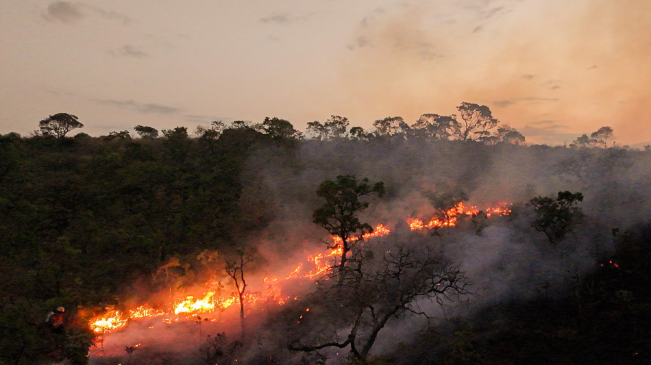 Brasile, foreste bruciate in incendi aumentate del 79% nel 2024