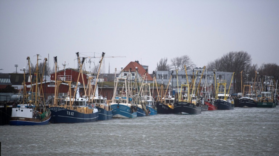 Seenotretter fischen vor Büsum Reh aus Nordsee