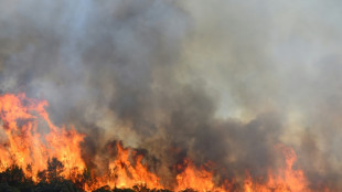 Un incendie mobilise 600 pompiers en Ardèche, le feu dans l'Hérault fixé