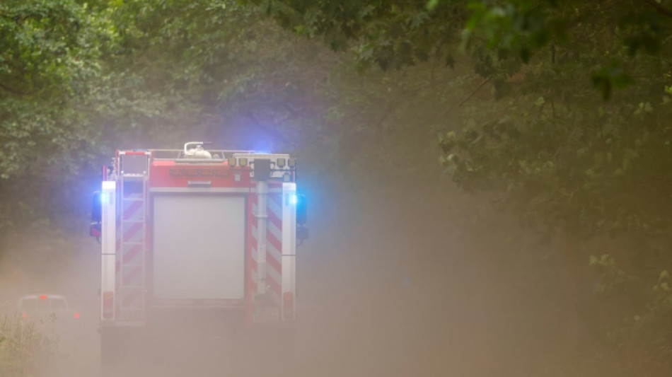 Feuerwehr kämpft weiter gegen Waldbrände in Brandenburg und Sachsen