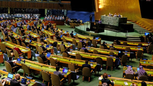 L'ONU appelée à voter sur une obligation de justifier le recours au veto