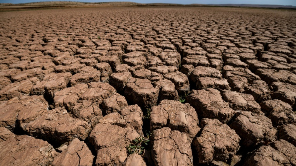 Más de 20 muertos en 24 horas en una ciudad de Marruecos por una ola de calor