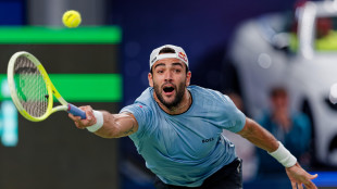 Berrettini 'sogno la Coppa Davis, sarebbe ciliegina su torta'