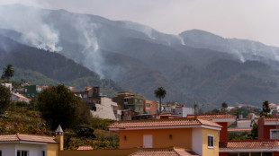 Bomberos españoles logran avances contra el incendio en Tenerife