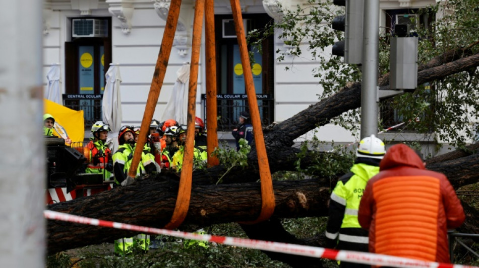 Una fallecida por la caída de un árbol en Madrid al paso de la tormenta Ciarán