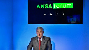 Tajani all'ANSA, impedire che il conflitto si allarghi