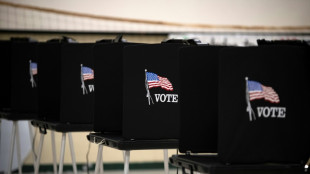 US election disinformation targets non-citizen voting