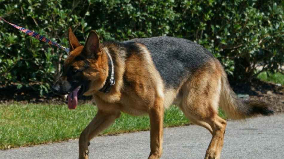 Republicana irrita Casa Branca por pedir morte de cão de Biden