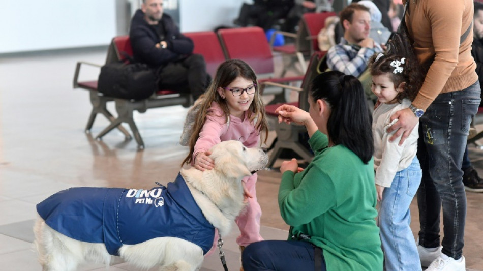 Peur de l'avion ? L'aéroport de Skopje a tout prévu ... même un chien !