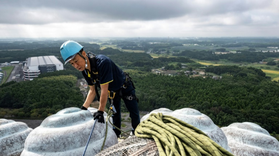 Celestial clean: Japanese duo spruce up world's tallest bronze Buddha