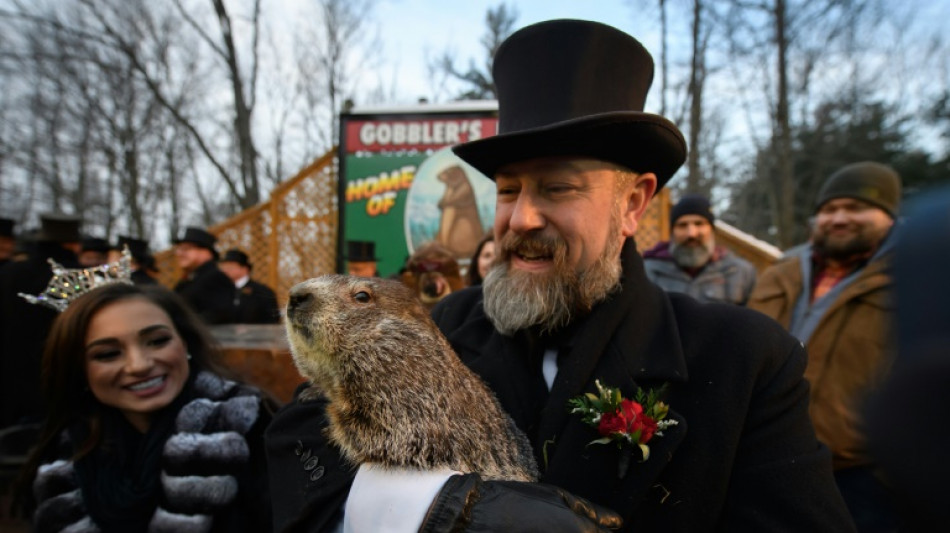 Murmeltier Punxsutawney Phil sagt den USA sechs weitere Wochen Winter voraus