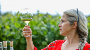 Climate change a mixed blessing for sun-starved Irish vintners
