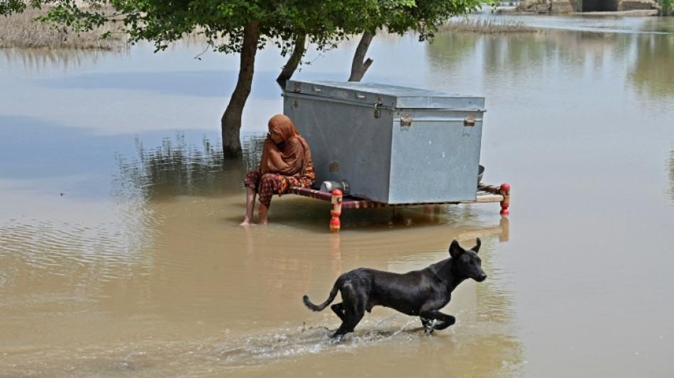 Pakistan: l'espérance engloutie par les inondations dans les villages pauvres du Pendjab