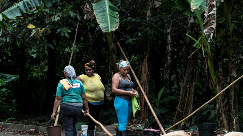 Las madres del cacao, otro "oro negro" en Venezuela