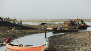 UN sounds alarm on heat threat to Iraq's fabled marshland