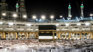 Les pèlerins prient sur le mont Arafat, point culminant du hajj