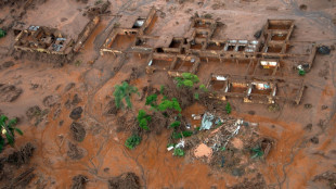 Brasil acuerda con Vale y BHP indemnización de USD 30.000 millones por tragedia ecológica