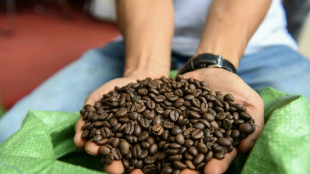 Le robusta du Vietnam, le café qui pourrait concurrencer l'arabica à l'heure du changement climatique