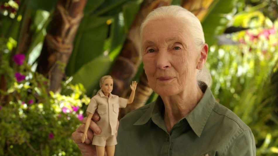 Primatenforscherin Jane Goodall gibt es jetzt als Barbie-Puppe