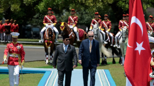 Indonésie: Prabowo accueille Erdogan pour renforcer les relations avec la Turquie