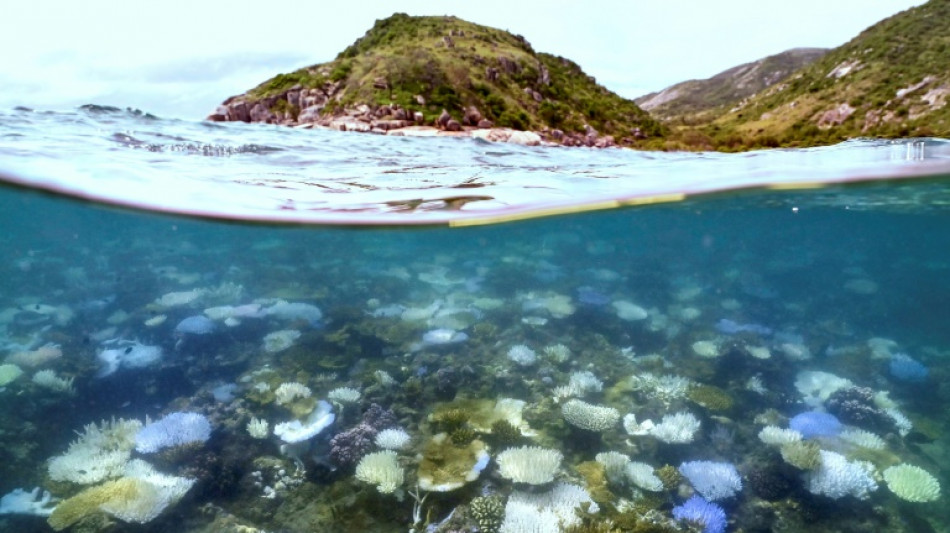 Australia tackles poor Great Barrier Reef water quality