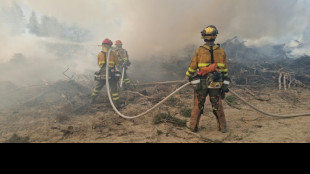 "Metro a metro": Bomberos extranjeros ante el desafío de los incendios forestales en Canadá