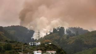 Los bomberos españoles avanzan en la lucha contra el incendio de Tenerife