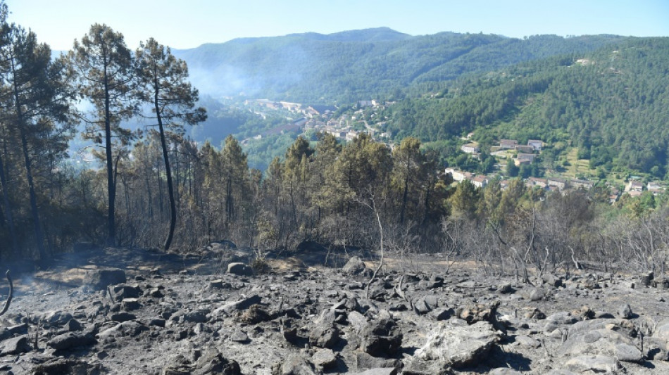 L'incendie des Cévennes fixé, dispositif allégé pour la nuit