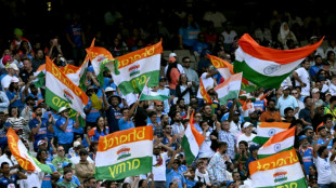 Record 350,700 spectators flock to Australia-India 4th Test