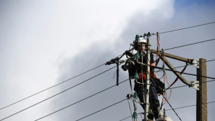 Vents violents: 75.000 clients privés d'électricité et trains perturbés dans l'Ouest