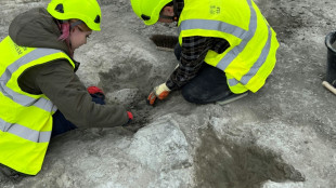 Découverte du plus grand site d'empreintes de dinosaures du Royaume-Uni