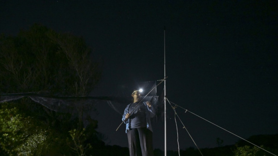 Sur l'île grecque d'Anticythère, des oiseaux migrateurs témoins des évolutions du climat