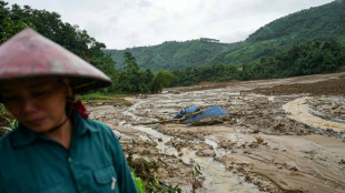 Vietnam: "une énorme masse de terre se dirigeait vers moi", raconte une survivante d'un glissement de terrain