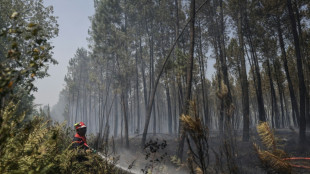 Canicule: vers de records de chaleur en France et en Grande-Bretagne