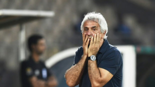 Mondial-2022: imbroglio au Maroc autour de l'avenir d'Halilhodzic