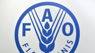 Nicaragua anuncia su retiro de la FAO y exige cierre "inmediato" de oficinas