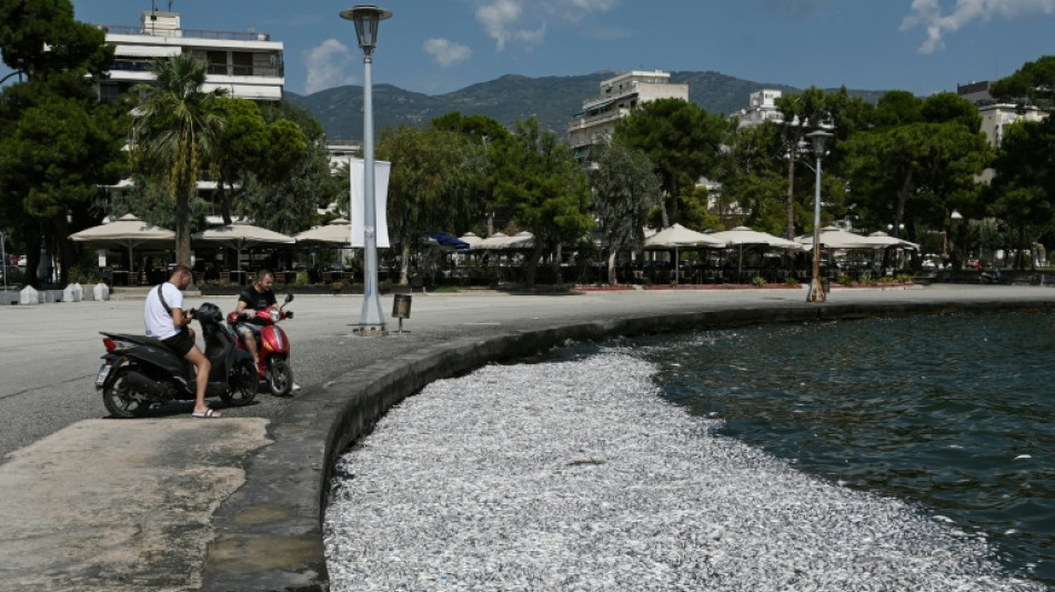 Greek port grapples with flood of dead fish