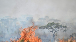 Bomberos luchan contra el fuego encarnizado en Brasilia