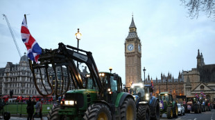 Britische Landwirte demonstrieren in London gegen Erbschaftssteuerreform