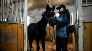 La clonación de un caballo allana el camino para los deportes ecuestres en China