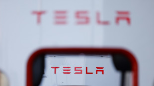 Le vendite di Tesla calano dell'11,5% in Cina, pesa concorrenza