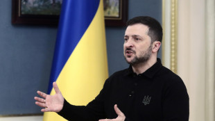 Zelensky, 'ecco le nostre terre rare, per far gola a Trump'