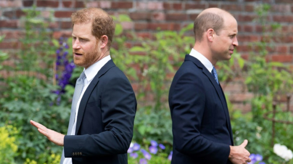 Shouting match, briefing war: Prince Harry takes aim at William