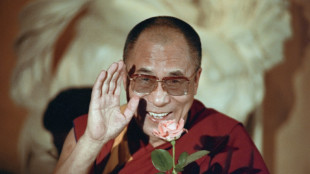 Dalai Lama book offers 'framework' for after his death