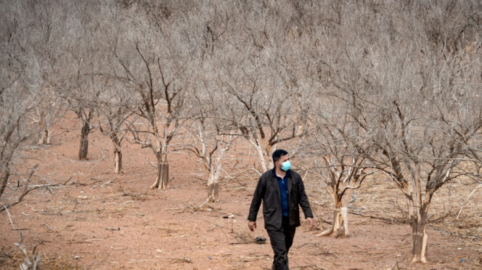 Maroc: une sécheresse inédite fait craindre une grave pénurie d'eau