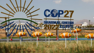 La COP27 continúa este sábado, bloqueada por la financiación del clima