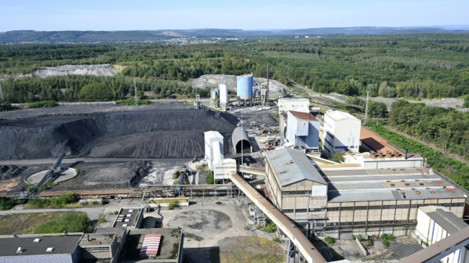 Centrale thermique de Saint-Avold: une loi pour assurer la conversion du site