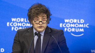 Milei, anche a Davos promossa la 'sinistra agenda woke'